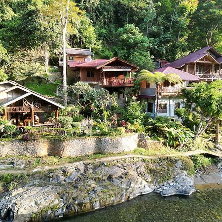 Kupu Kupu Garden Guest House & Cafe Bukit Lawang Esterno foto