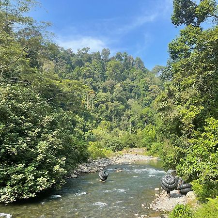 Kupu Kupu Garden Guest House & Cafe Bukit Lawang Esterno foto