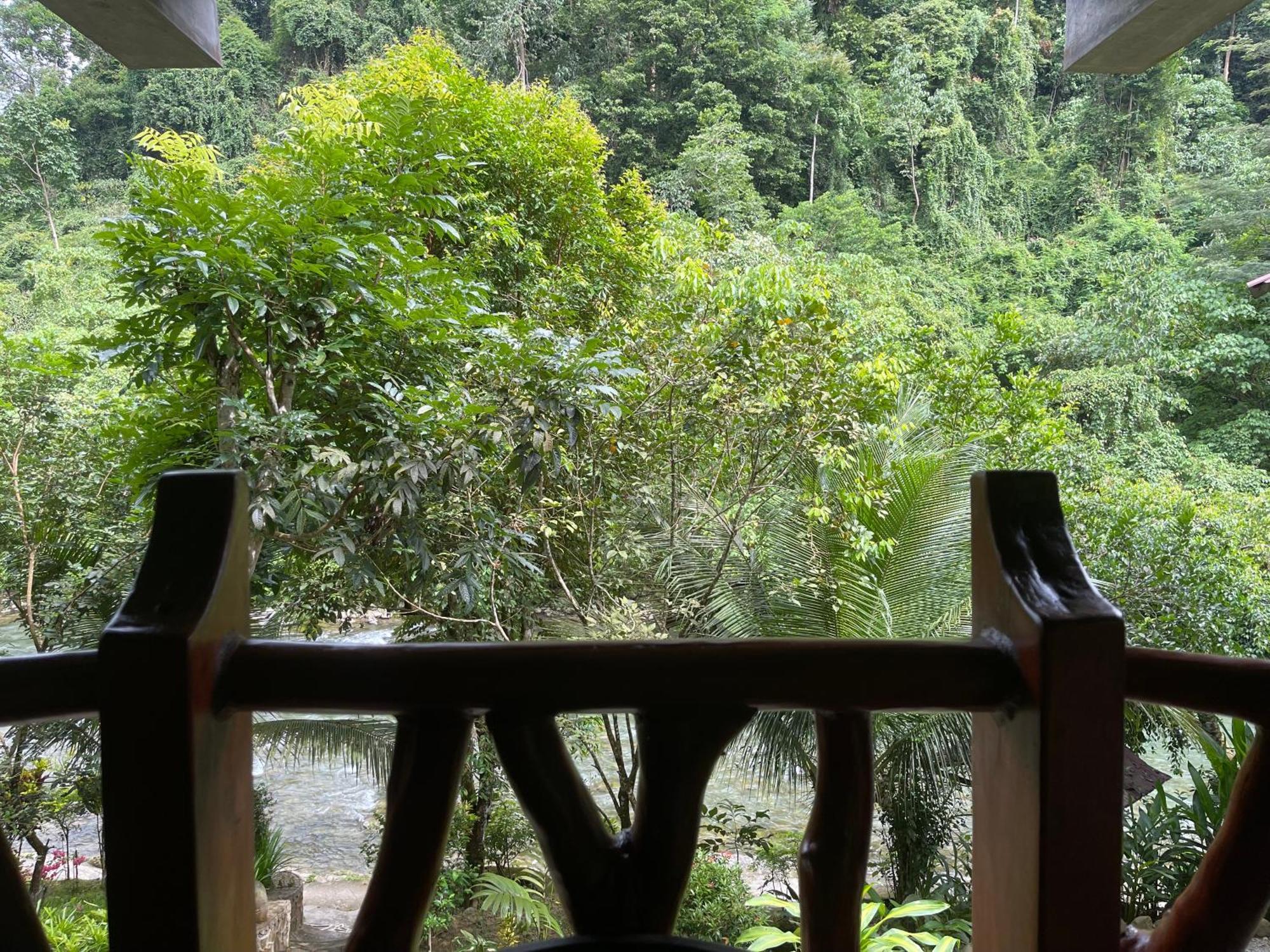 Kupu Kupu Garden Guest House & Cafe Bukit Lawang Esterno foto
