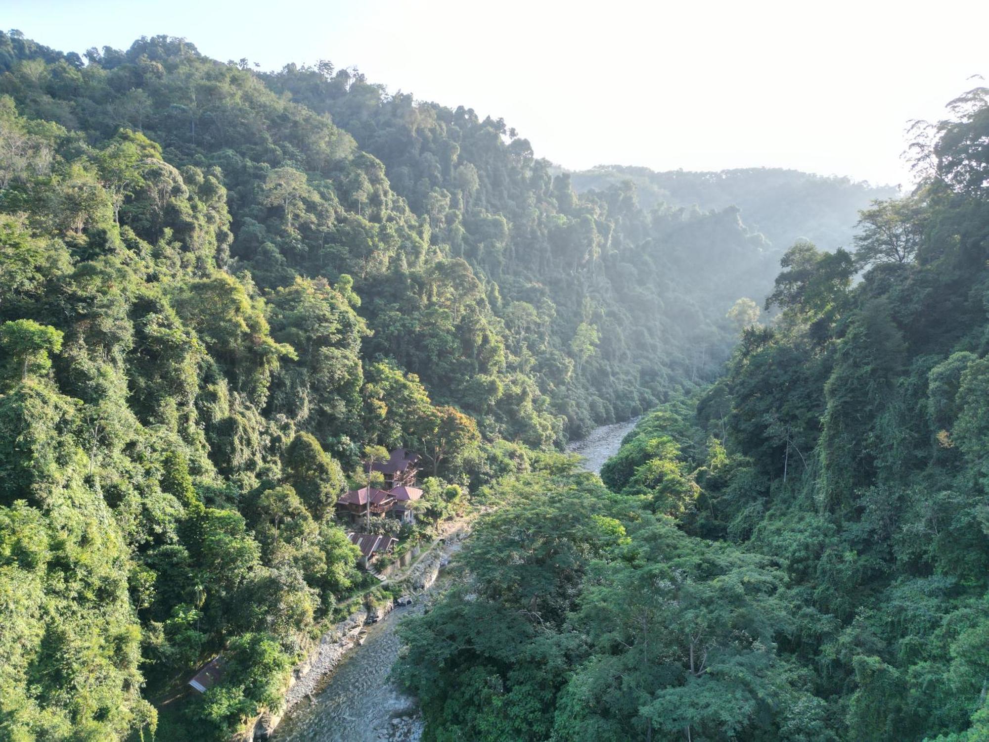 Kupu Kupu Garden Guest House & Cafe Bukit Lawang Esterno foto