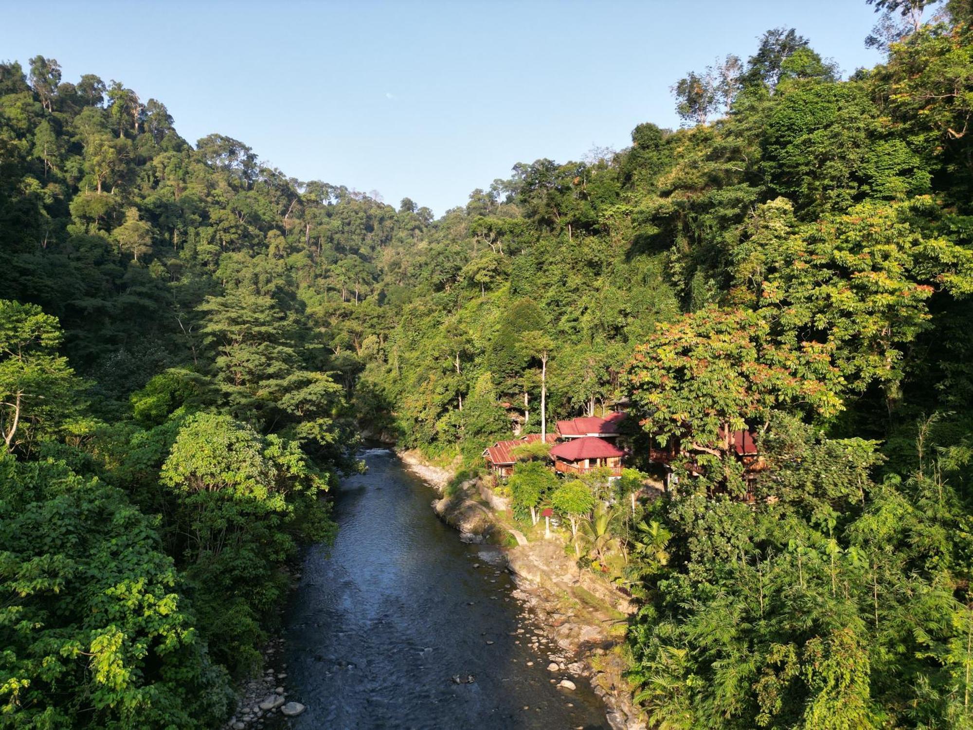 Kupu Kupu Garden Guest House & Cafe Bukit Lawang Esterno foto