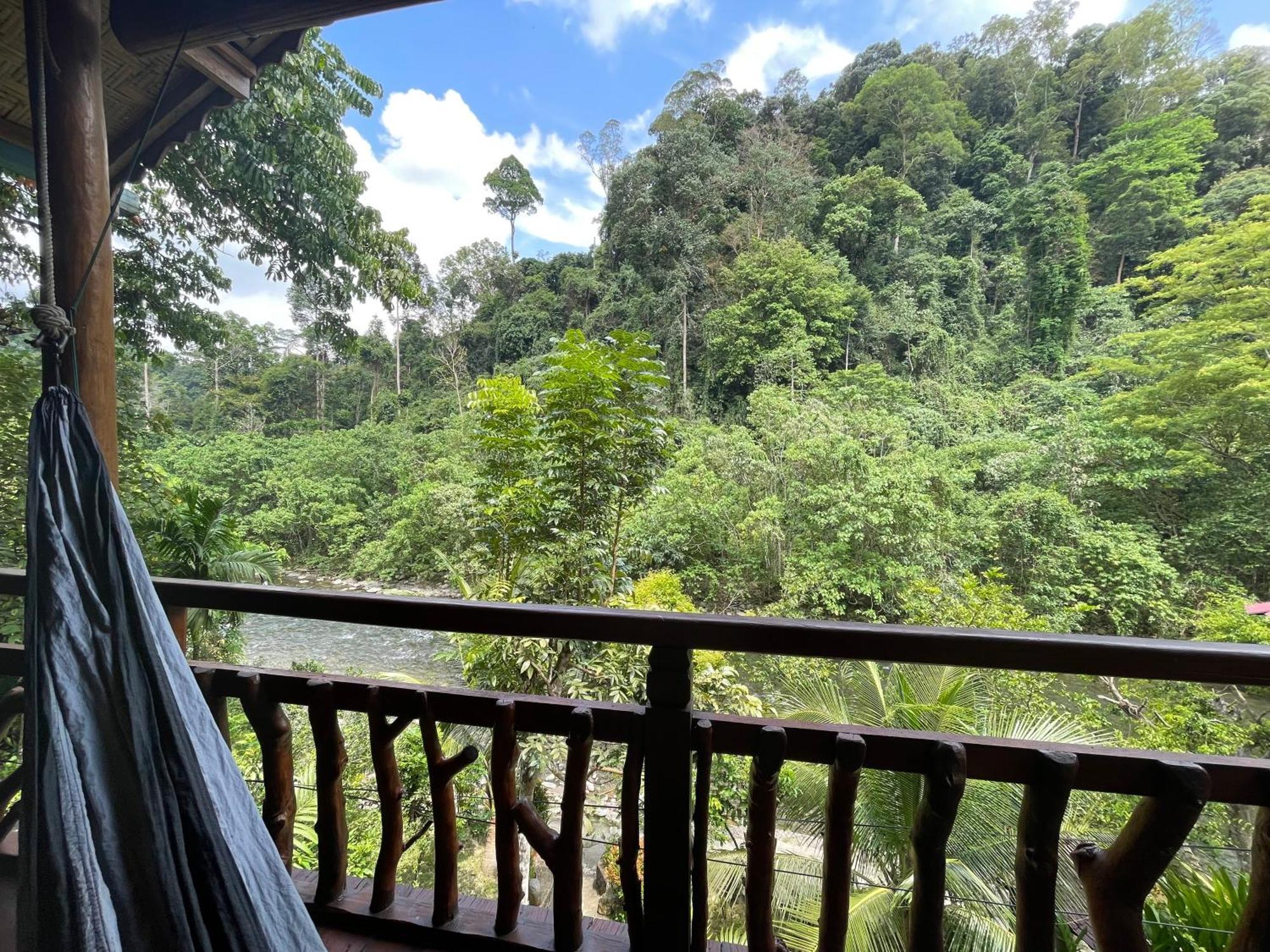Kupu Kupu Garden Guest House & Cafe Bukit Lawang Esterno foto