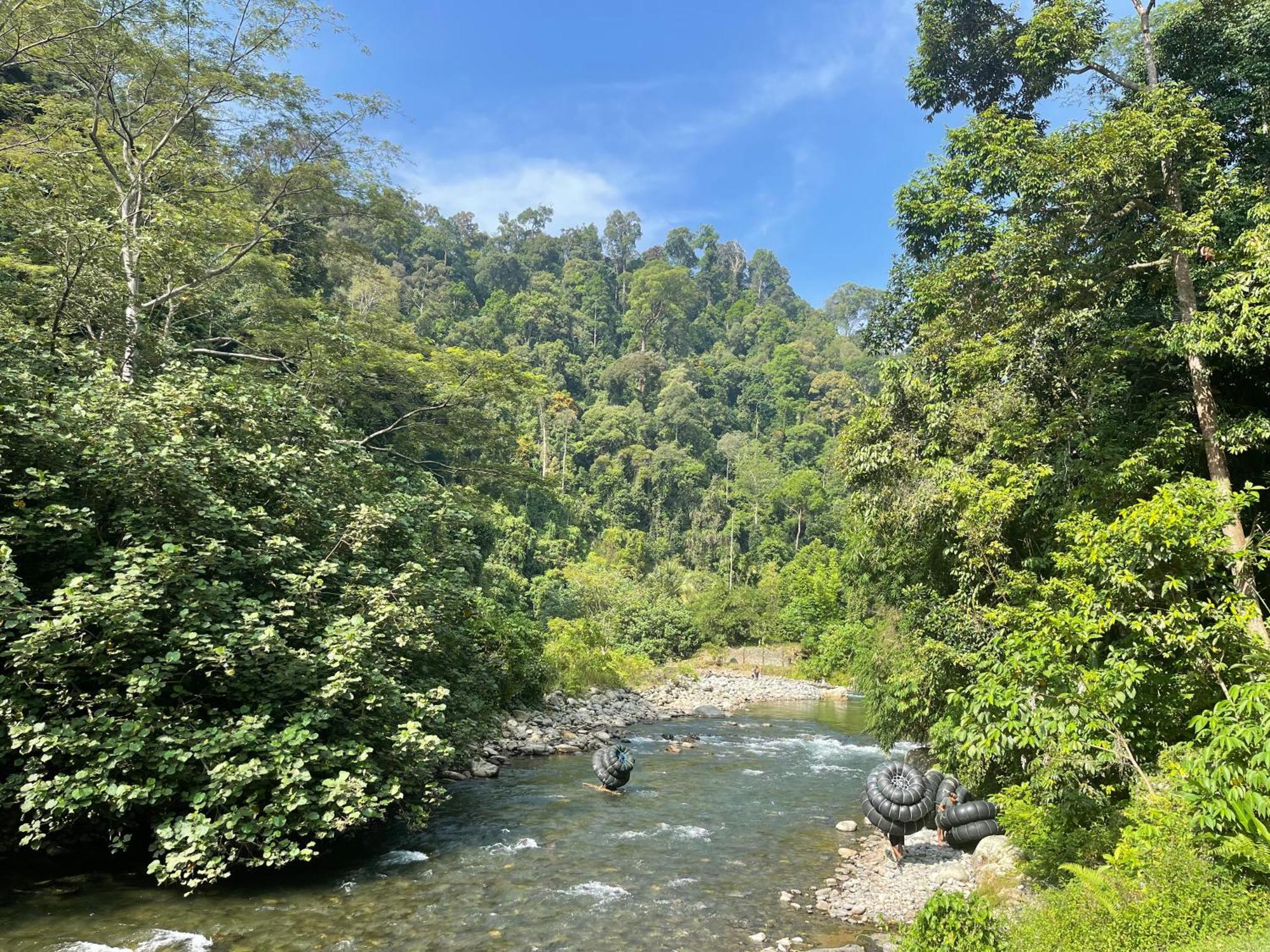 Kupu Kupu Garden Guest House & Cafe Bukit Lawang Esterno foto