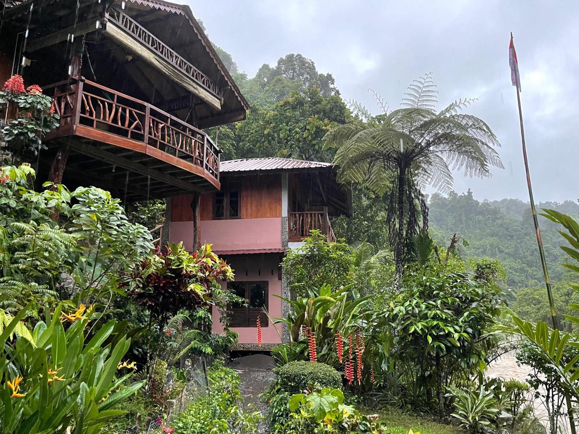 Kupu Kupu Garden Guest House & Cafe Bukit Lawang Esterno foto