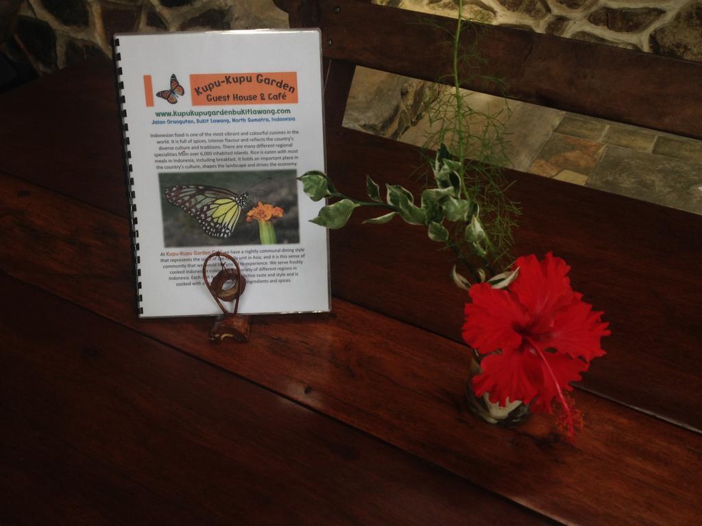 Kupu Kupu Garden Guest House & Cafe Bukit Lawang Esterno foto