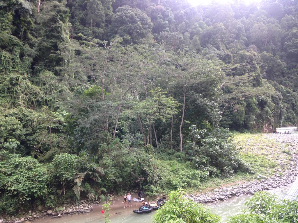 Kupu Kupu Garden Guest House & Cafe Bukit Lawang Esterno foto