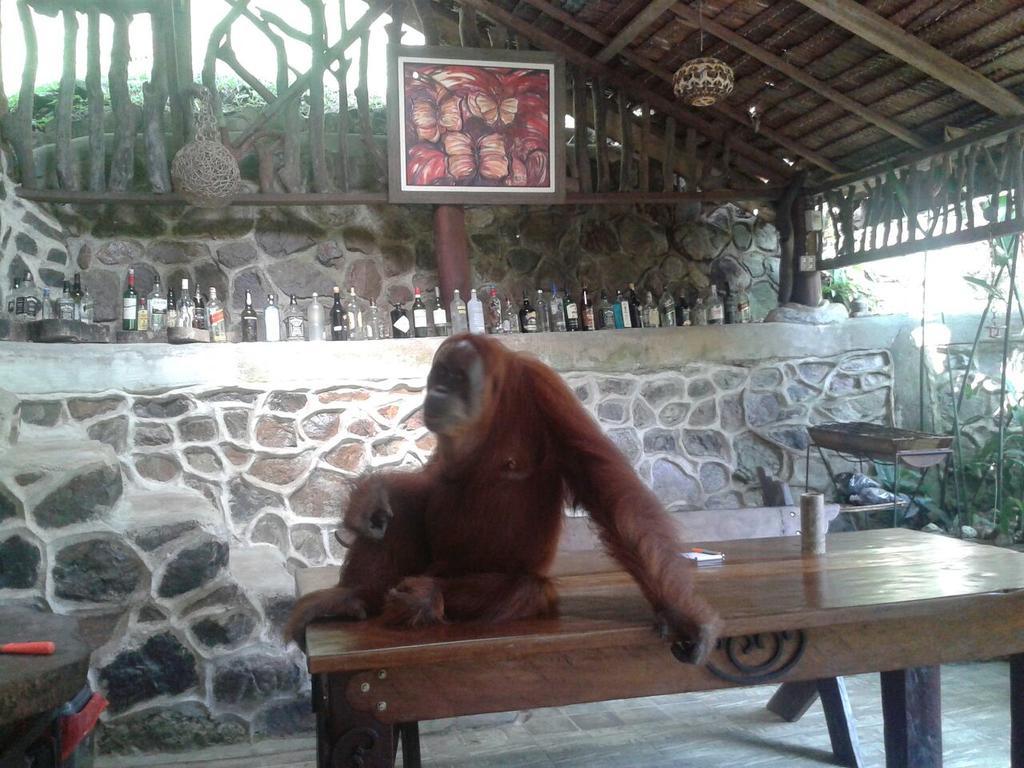 Kupu Kupu Garden Guest House & Cafe Bukit Lawang Esterno foto