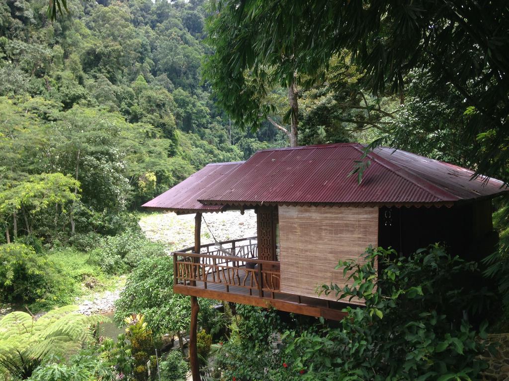 Kupu Kupu Garden Guest House & Cafe Bukit Lawang Esterno foto