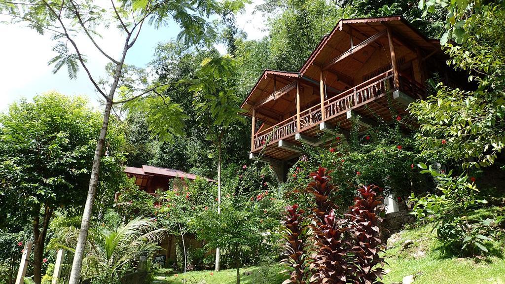 Kupu Kupu Garden Guest House & Cafe Bukit Lawang Esterno foto