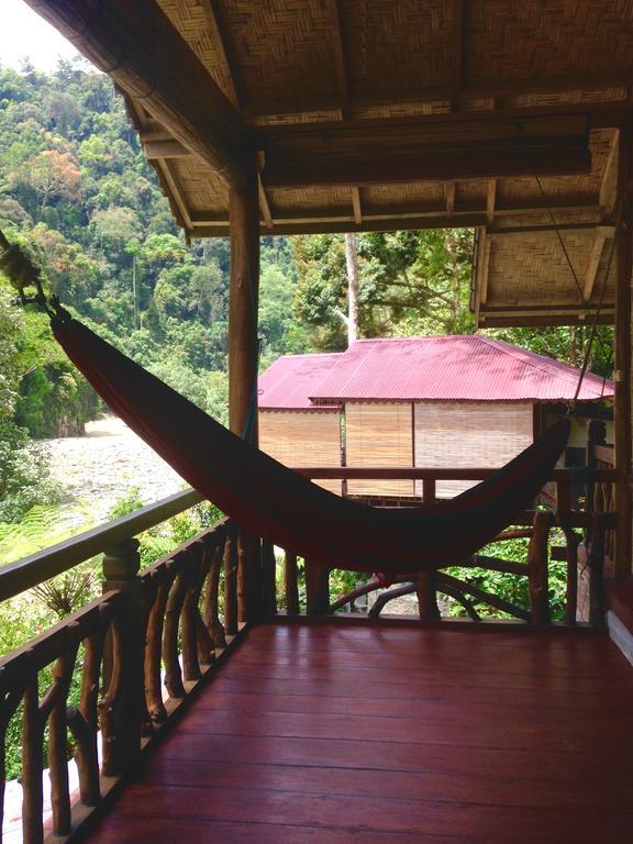 Kupu Kupu Garden Guest House & Cafe Bukit Lawang Esterno foto