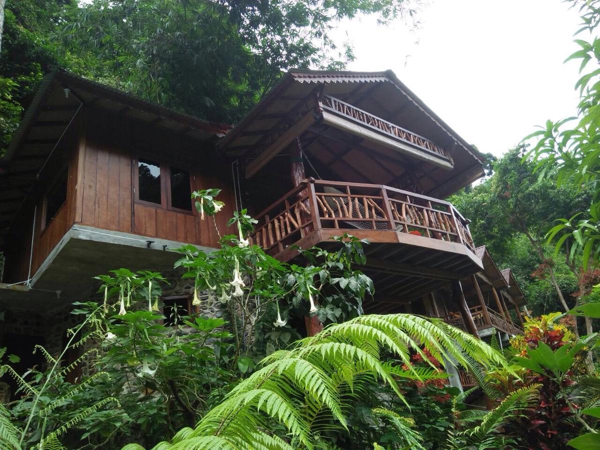 Kupu Kupu Garden Guest House & Cafe Bukit Lawang Esterno foto