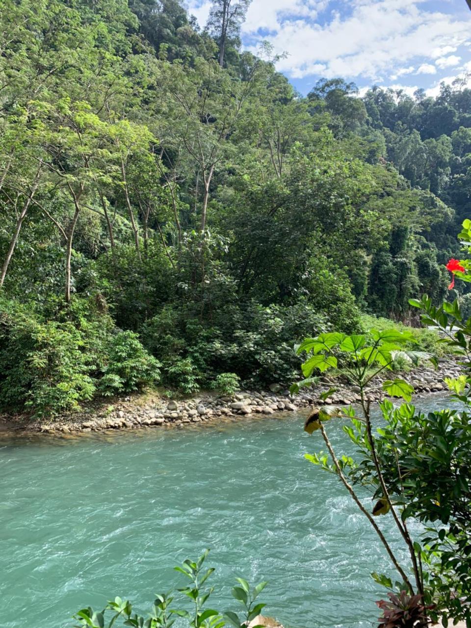 Kupu Kupu Garden Guest House & Cafe Bukit Lawang Esterno foto