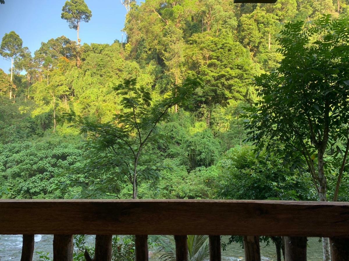 Kupu Kupu Garden Guest House & Cafe Bukit Lawang Esterno foto
