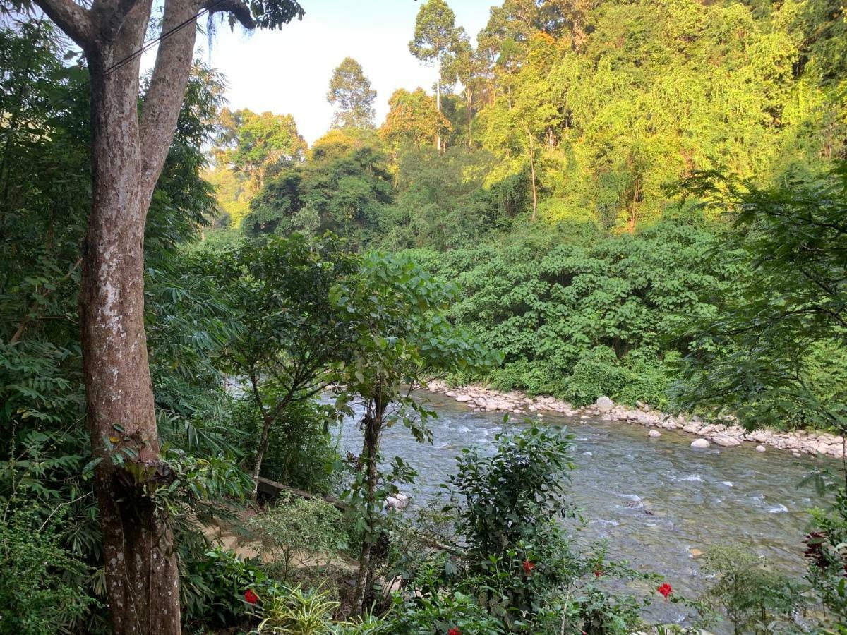 Kupu Kupu Garden Guest House & Cafe Bukit Lawang Esterno foto