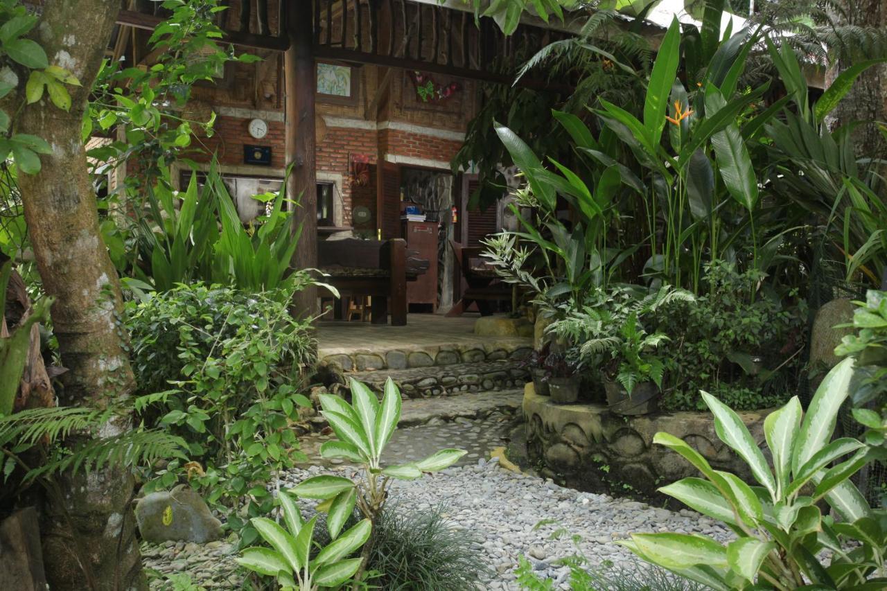 Kupu Kupu Garden Guest House & Cafe Bukit Lawang Esterno foto